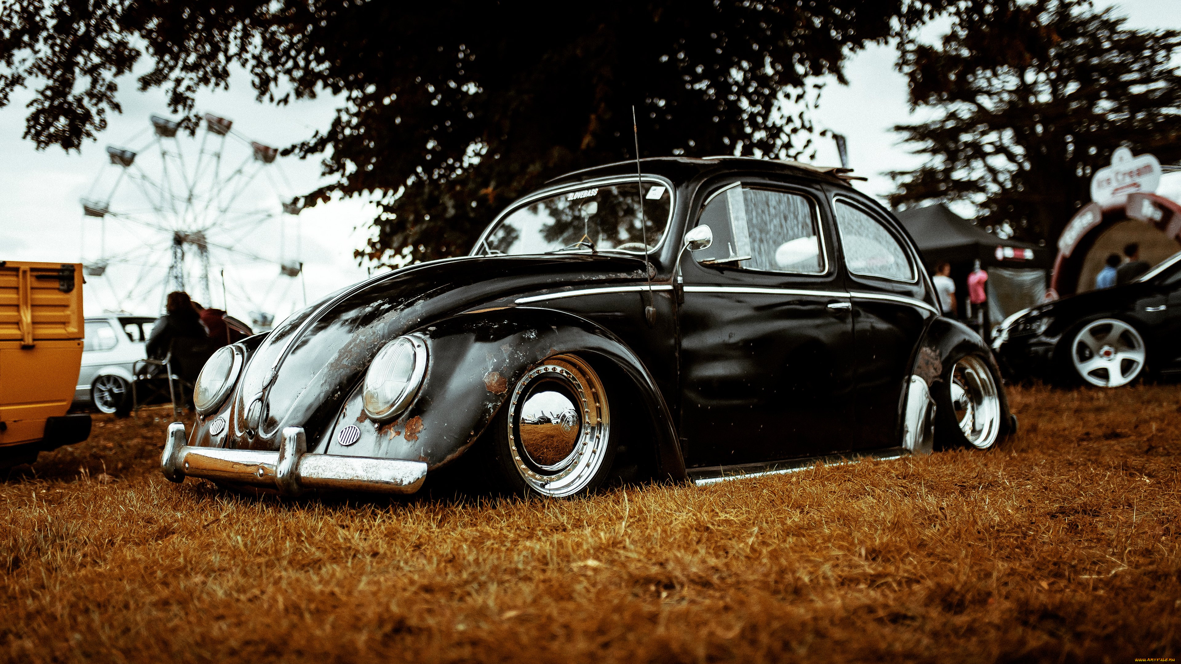 , volkswagen, beetle